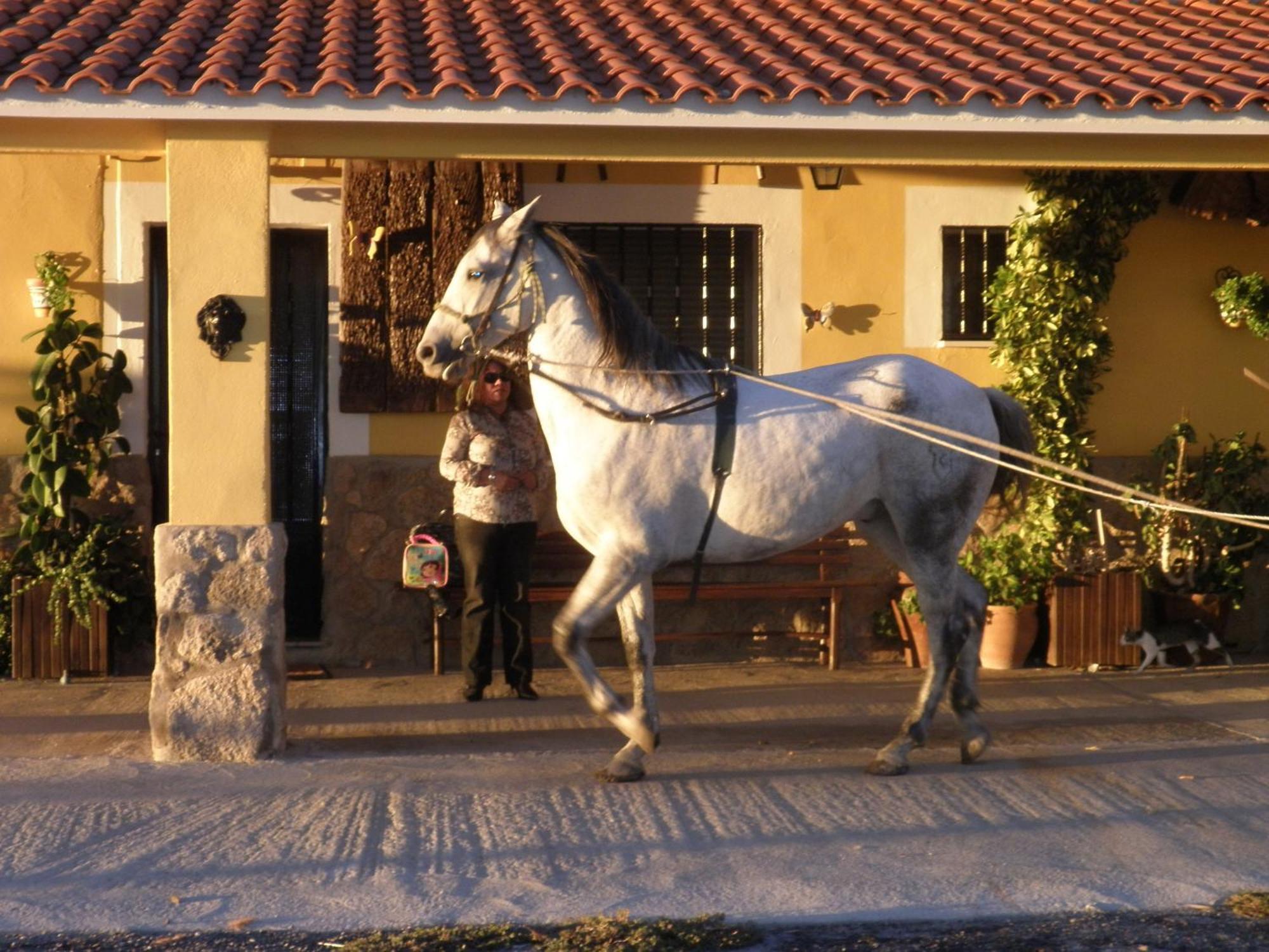 La Posada Hipica Rosalejo  Luaran gambar