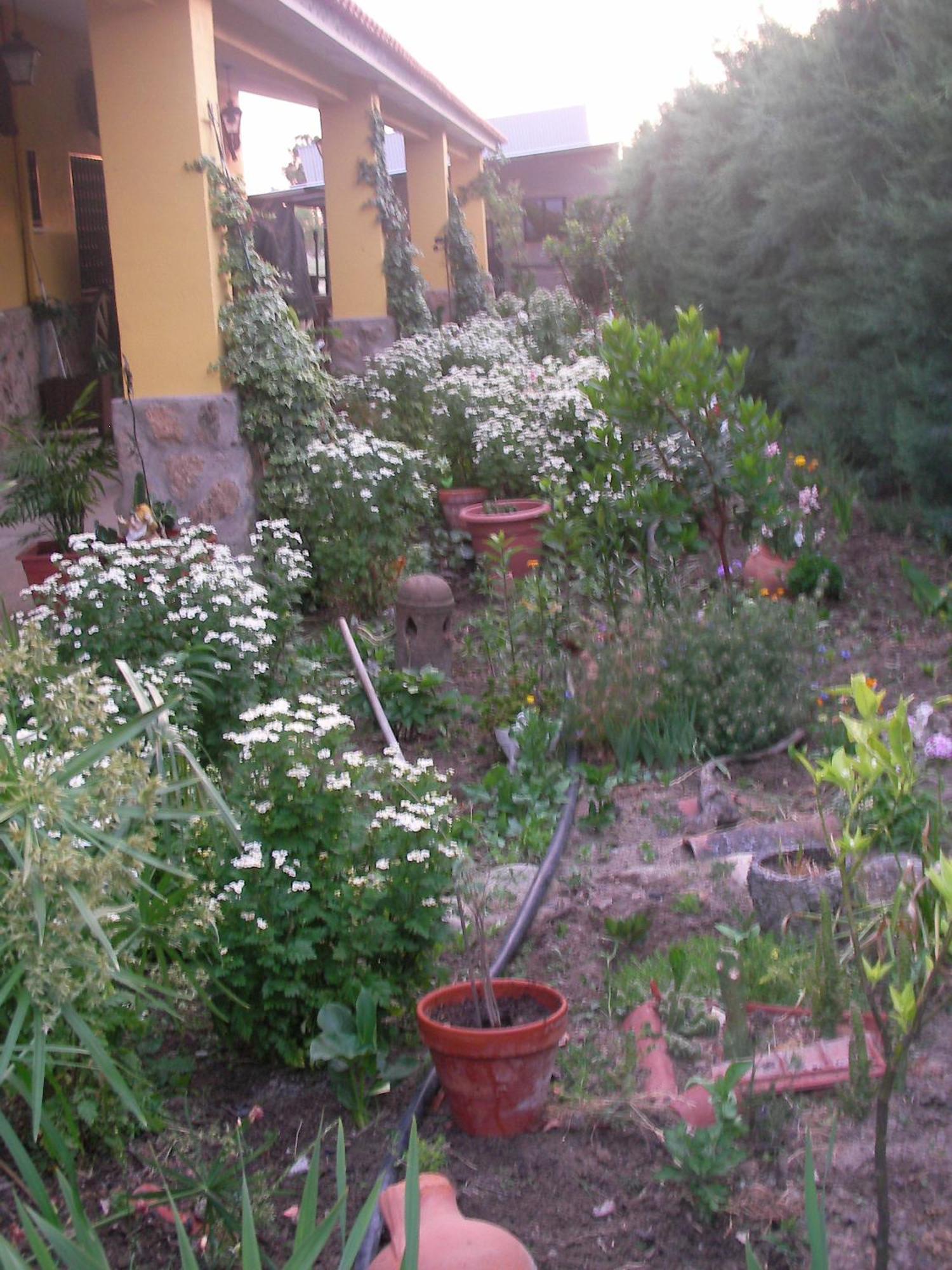 La Posada Hipica Rosalejo  Luaran gambar
