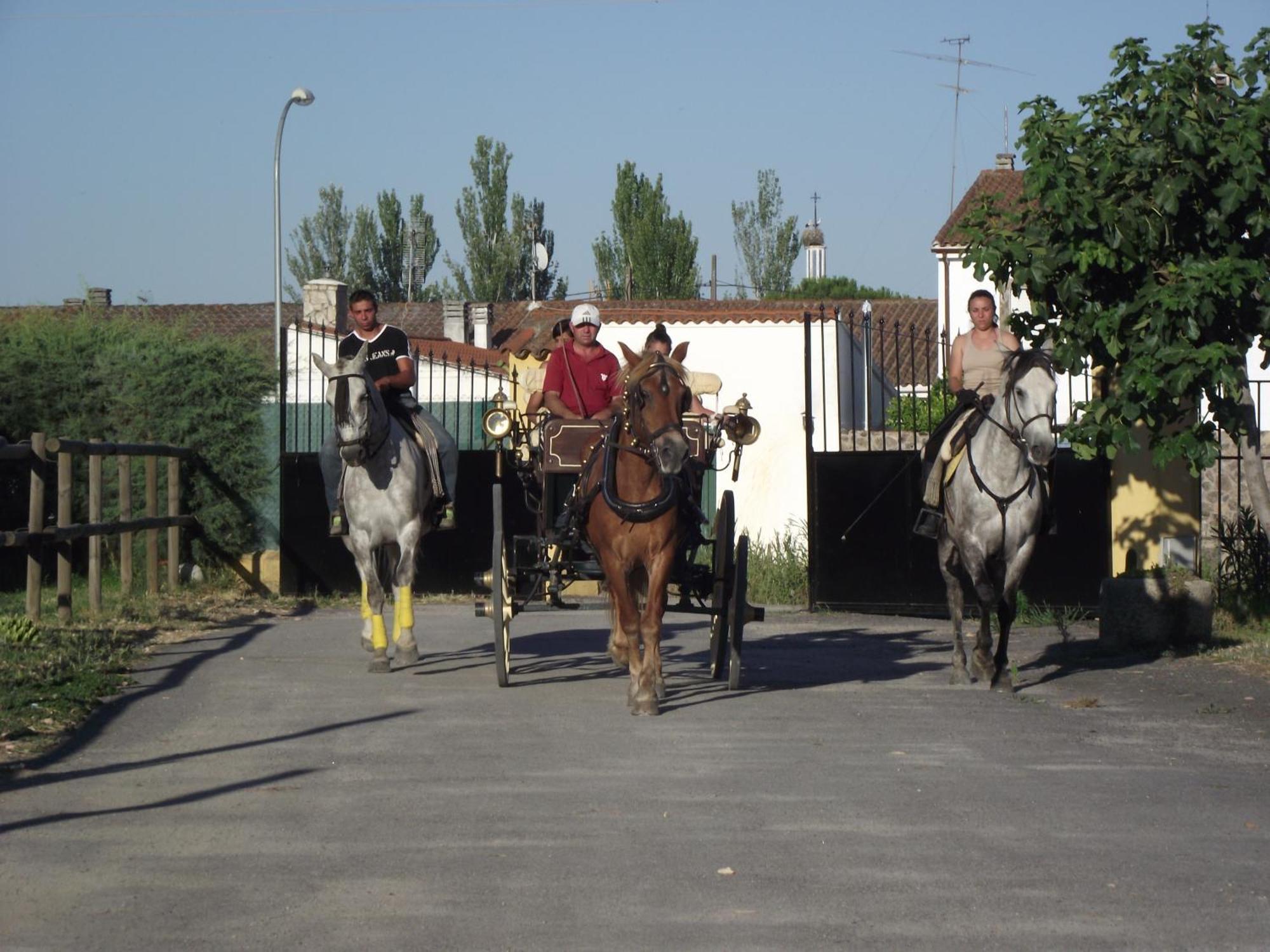 La Posada Hipica Rosalejo  Luaran gambar