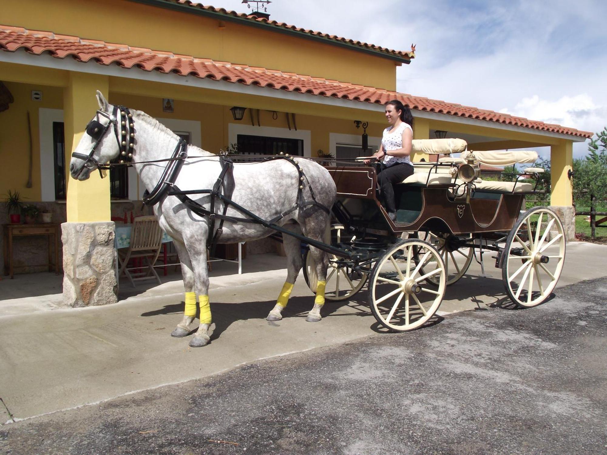 La Posada Hipica Rosalejo  Luaran gambar
