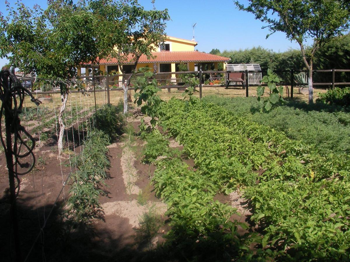 La Posada Hipica Rosalejo  Luaran gambar