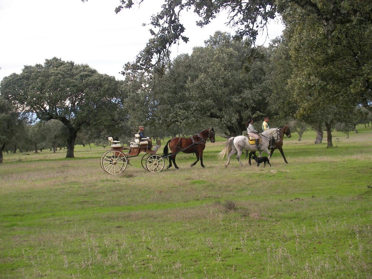 La Posada Hipica Rosalejo  Luaran gambar